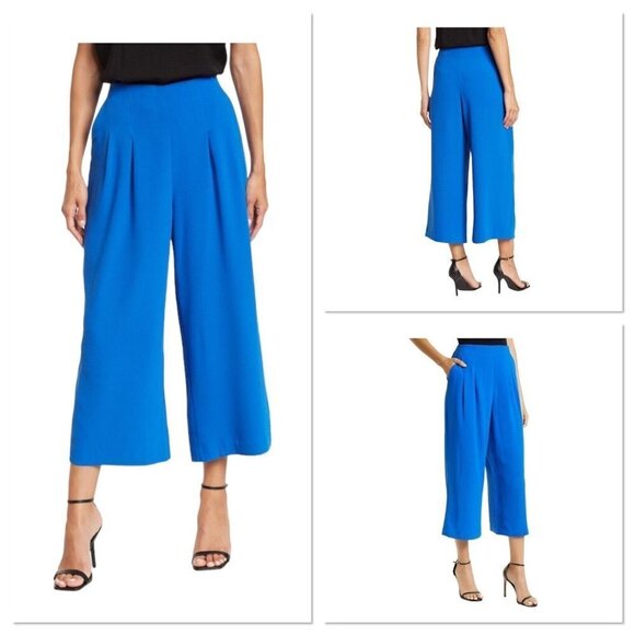 Ted Baker Zettah Pleated Culotte Size 4 US Size‎ Large Blue Cropped Wide Leg
